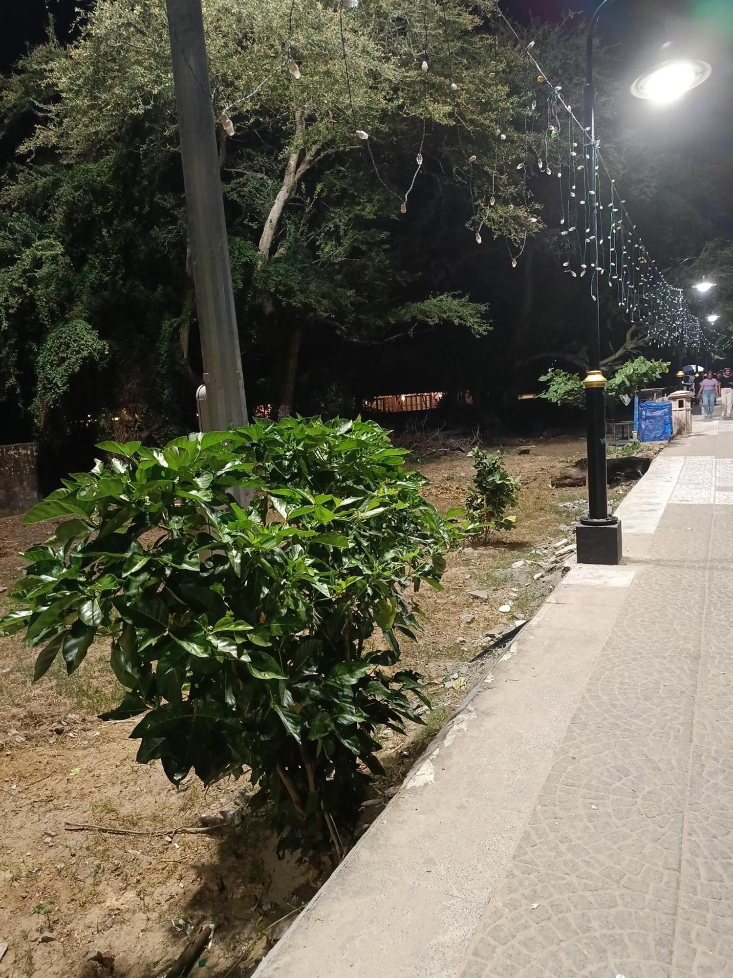 Elzas Fort Inn Kochi Екстериор снимка
